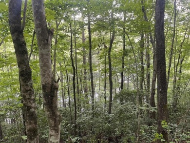 Lake Acreage For Sale in Tuckasegee, North Carolina