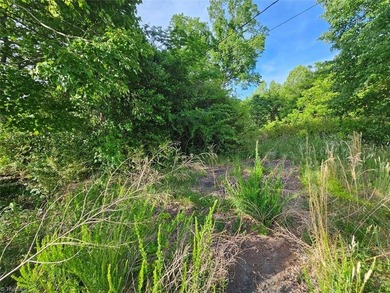 Rare opportunity to own 4.51 acres in Belews Creek with LB-S - photo 13