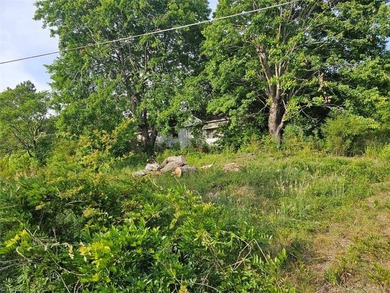 Rare opportunity to own 4.51 acres in Belews Creek with LB-S - photo 15