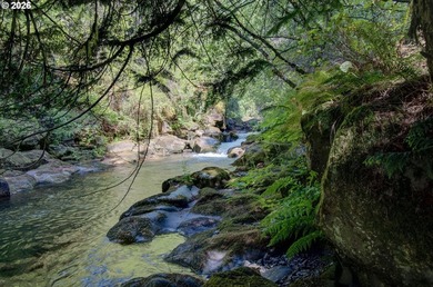 A RIVER RUNS THROUGH IT. Who needs a pool when you have a river - photo 29