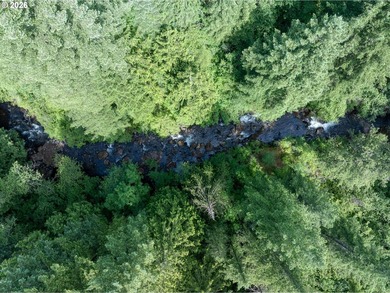A RIVER RUNS THROUGH IT. Who needs a pool when you have a river - photo 30