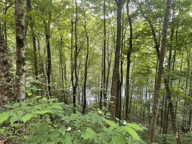 Lake Lot For Sale in Tuckasegee, North Carolina