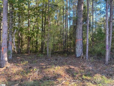 Lake Acreage For Sale in Waterloo, South Carolina