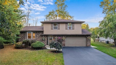 Lake Home Sale Pending in Amherst, New York