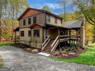 Lake Blue Ridge Home For Sale in Mineral Bluff Georgia