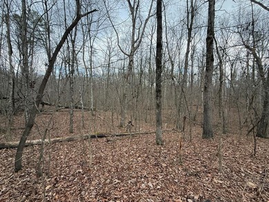 This property is located in a quiet country setting on 4.1 - photo 2