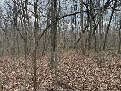 This property is located in a quiet country setting on 4.1 - photo 3