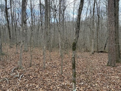 This property is located in a quiet country setting on 4.1 - photo 4