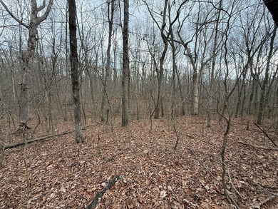 This property is located in a quiet country setting on 4.1 - photo 5