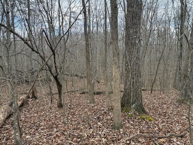 This property is located in a quiet country setting on 4.1 - photo 6