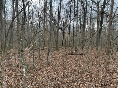 This property is located in a quiet country setting on 4.1 - photo 7