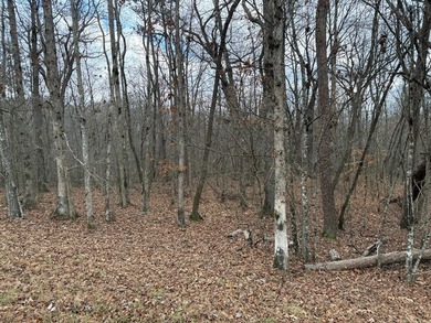 This property is located in a quiet country setting on 4.1 - photo 8