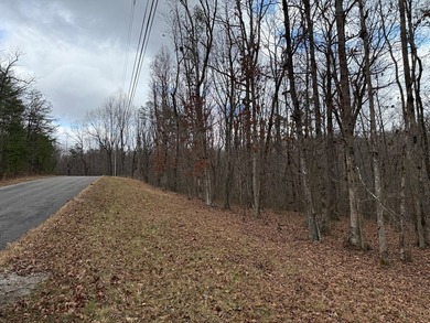 This property is located in a quiet country setting on 4.1 - photo 9