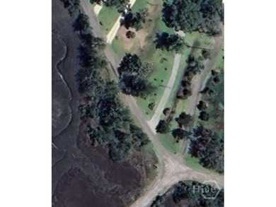 South Newport River - McIntosh County Lot For Sale in Townsend Georgia