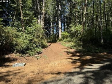 12.66 +/- ACRE LOT AVAILABLE ON DEVORE ARM WITH TENMILE LAKE - photo 1