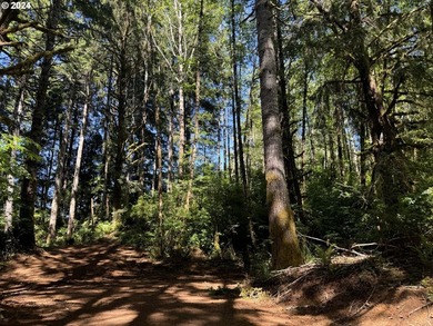 12.66 +/- ACRE LOT AVAILABLE ON DEVORE ARM WITH TENMILE LAKE - photo 2
