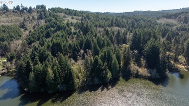 12.66 +/- ACRE LOT AVAILABLE ON DEVORE ARM WITH TENMILE LAKE - photo 6