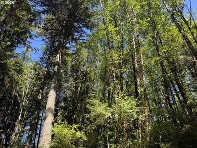 12.66 +/- ACRE LOT AVAILABLE ON DEVORE ARM WITH TENMILE LAKE - photo 9