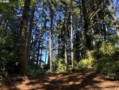 12.66 +/- ACRE LOT AVAILABLE ON DEVORE ARM WITH TENMILE LAKE - photo 10