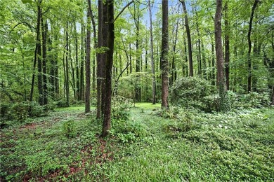 Prestigious Smoke Rise Sub-Division*Beautiful 4 Bedrooms/3 Baths - photo 43