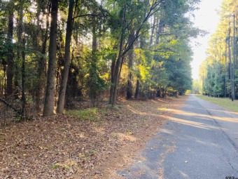 Super awesome lot for building your home in beautiful Tall Tree - Lake Lot For Sale in Mount Vernon, Texas