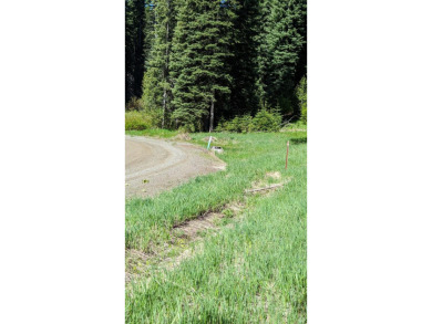 Lake Cascade  Lot For Sale in Donnelly Idaho