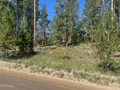 Shadow Mountain Lake Lot For Sale in Grand Lake Colorado