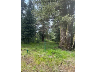 Lake Lot For Sale in Donnelly, Idaho