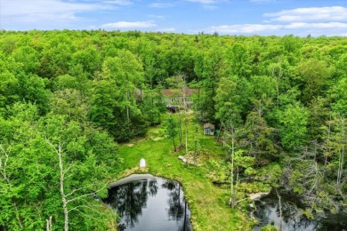 Pine Lake - Sullivan County Home For Sale in Mamakating New York
