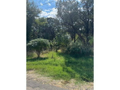 Lake Granbury Lot For Sale in Granbury Texas