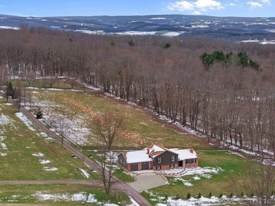Check out this stunner! Split-level design sitting on 3 acres of - photo 7