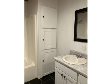 Home owner - photo 11