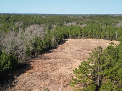 (private lake, pond, coastal) Acreage For Sale in Leakesville Mississippi