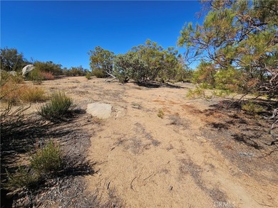 717 Arroyo Way - photo 7