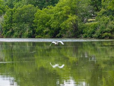 Set along approximately 1,700 feet of the Pedernales River - photo 42
