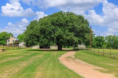 Set along approximately 1,700 feet of the Pedernales River - photo 43