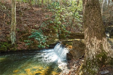Peace and tranquility await at 261 Falcon Heights in the - photo 43