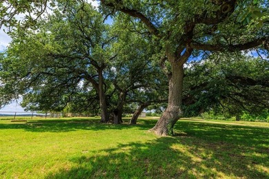 Set along approximately 1,700 feet of the Pedernales River - photo 46