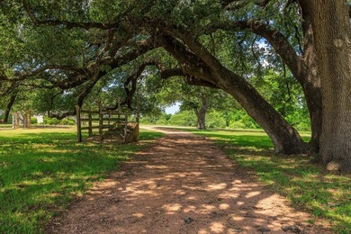 Set along approximately 1,700 feet of the Pedernales River - photo 47