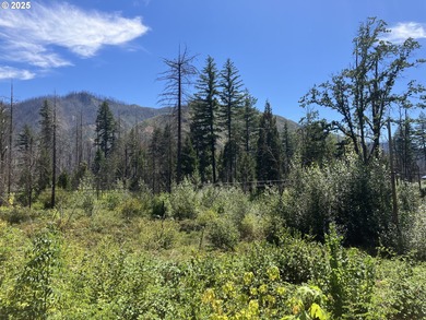 McKenzie River  Lot For Sale in Blueriver Oregon