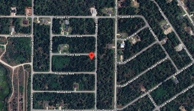Port Charlotte Waterway Area Lot For Sale in Port Charlotte Florida