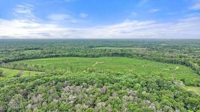 Rare opportunity! Prime land in Copiah County. 111 acres+- - photo 2