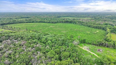 Rare opportunity! Prime land in Copiah County. 111 acres+- - photo 3