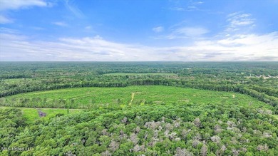Rare opportunity! Prime land in Copiah County. 111 acres+- - photo 4