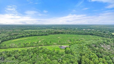 Rare opportunity! Prime land in Copiah County. 111 acres+- - photo 5