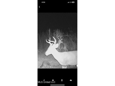 Rare opportunity! Prime land in Copiah County. 111 acres+- - photo 6