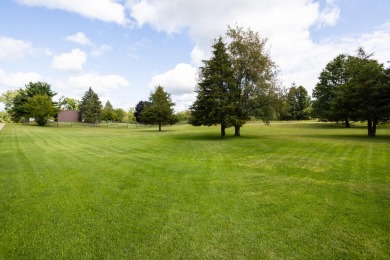 Mercury Lake Lot For Sale in Brooklyn Michigan