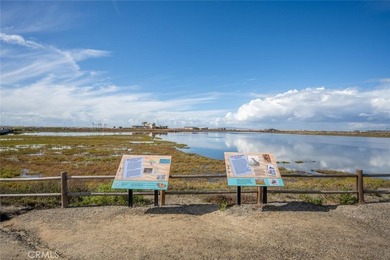 Welcome to luxury coastal living in Huntington Beach's highly - photo 49