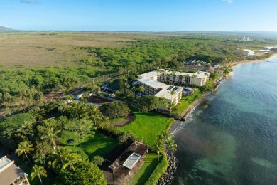 One-of-a-kind Beachfront property in Prime Maalaea neighborhood - photo 11