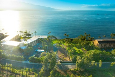 One-of-a-kind Beachfront property in Prime Maalaea neighborhood - photo 13